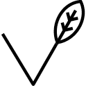 Ingredient Icon