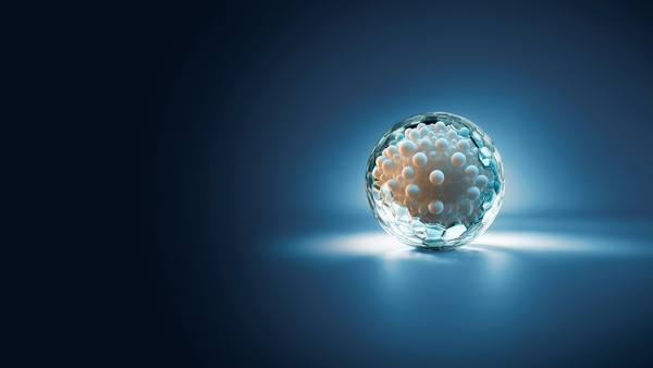 Exosomes in cosmetics: proven efficacy for skincare?